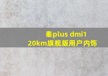 秦plus dmi120km旗舰版用户内饰